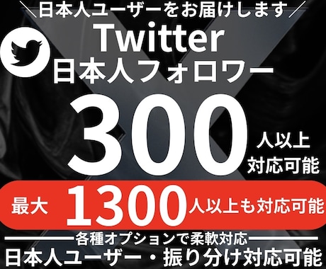 Twitter 日本人フォロワー300人増加します X・(旧Twitter) 日本人のフォロワーを増やします イメージ1