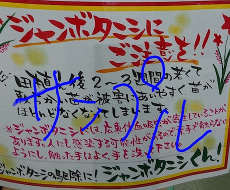 筆ペンで手書き★POP作成します 筆ペンでのpopです。下手可愛文字★ イメージ2