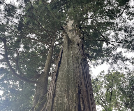 現場と経営の板挟み、現役部長が本音で受け止めます 否定なし・愚痴OK・整理だけでも大丈夫です イメージ1