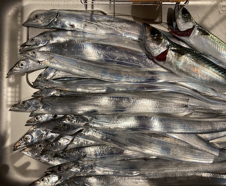 初心者〜熟練者まで！釣りの相談のります 動画ではわからない釣具の選び方や良い船宿選定教えます イメージ2