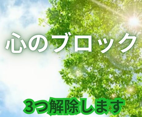 2回目以降はこちら　心のブロック3つ解除します あなたの心のブレーキを外します イメージ1