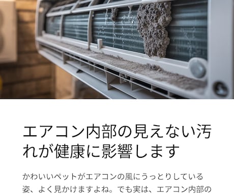 Canva使用　LPの制作をトータル作成致します 初めてのLP制作の方も大歓迎です イメージ2