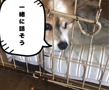 1分からでもOK！貴方からのお電話待ってます 大学生の僕がなんでもお話し聞きます。 イメージ1