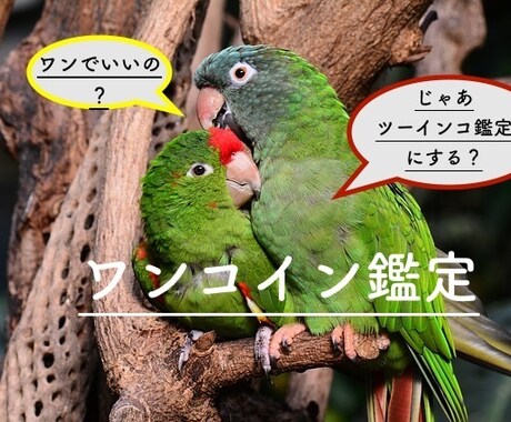 望む未来を引き寄せる開運アドバイス致します あなたの将来の流れを踏まえて取り組むと良い内容をお伝えします イメージ1