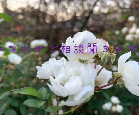 あなたのお悩み聞きます 上手く話せなくても大丈夫です！ イメージ1