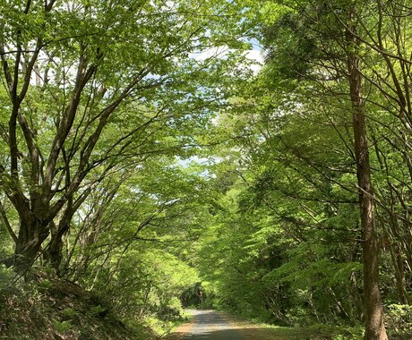 おふたりの過去生からのつながりを霊視いたします あなたに寄り添う占い師　お気軽にご相談ください イメージ1
