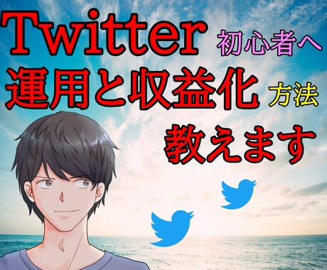 Twitter運用（初心者編）と収益化方法教えます 「超」初心者でも収益化を目指せます！！ イメージ1
