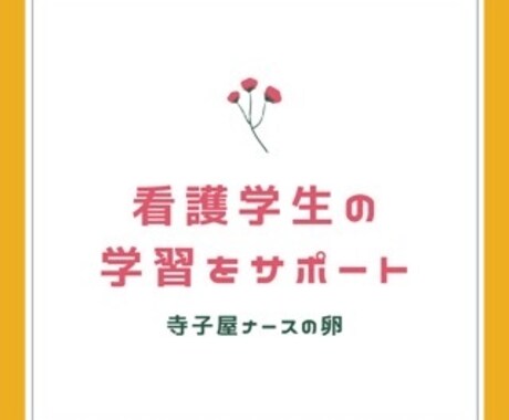 看護学生必見！！小児科実習を2週間全面サポートます 小児看護学講師、実習引率教員があなたの小児科実習を助けます イメージ1