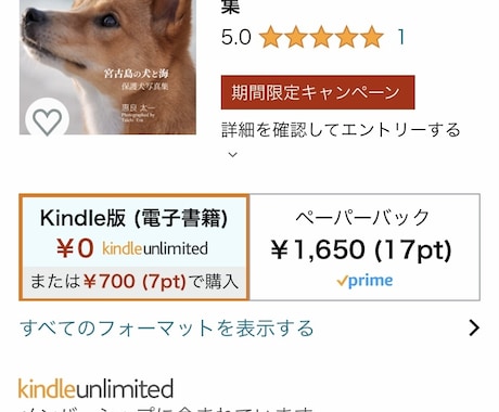Amazonで写真集出版するためのサポートをします Amazonなら電子写真集、紙の写真集どちらもつくれます。 イメージ1