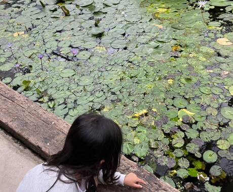 小学生の息子二人と４歳の娘がいます 父親です。雑談、相談、悩み、なんでも聴きます。 イメージ1