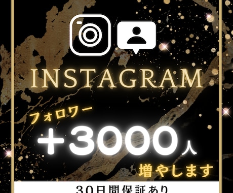 Instagramのフォロワー3000人増やします Instagramのフォロワーを3000人☆迅速に増加☆ イメージ1