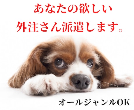 あなたのニーズに応じた外注さんを派遣します オールジャンルOK♪ご希望のジャンルのワーカーさん！ イメージ1