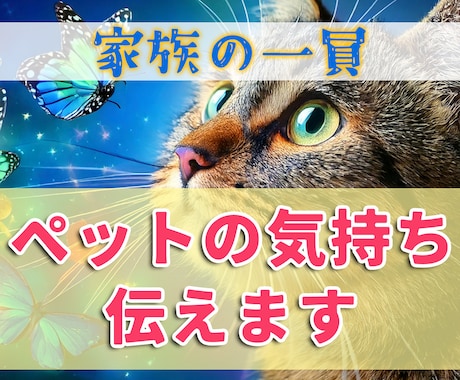 大事なペットちゃんのお気持ち、代理で伝えます 虹を渡った子でも可！約5000文字超の大ボリューム鑑定書付き イメージ1