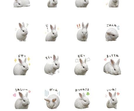ペットや家族のLINEスタンプ作成します 写真からかわいいスタンプを作ります イメージ1