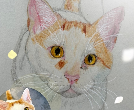 お家の猫ちゃんの似顔絵描きます 色鉛筆で丁寧に仕上げます！！お顔中心に描かせて戴きます。 イメージ2