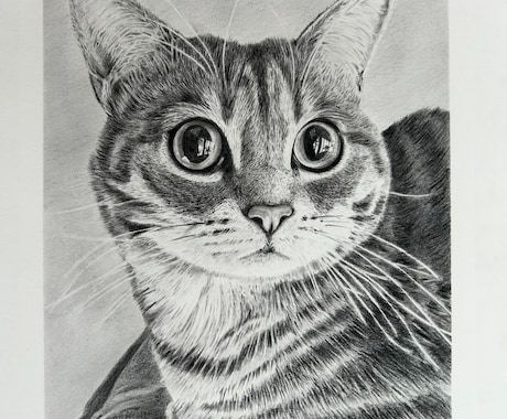 鉛筆画 オーダー受付中 プロフィールに詳細あります。｜ホビー・楽器 