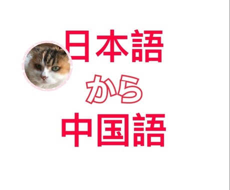 インバウンド観光向けなど！正確に中国語に翻訳します 実績多数！ややこしい表現やデタラメな翻訳にうんざりしてない？ イメージ1