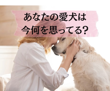 愛犬が今伝えたい「一言」を寄り添い鑑定で伝えます 言葉を持たない愛犬の、ピュアな本音を通訳します。 イメージ1