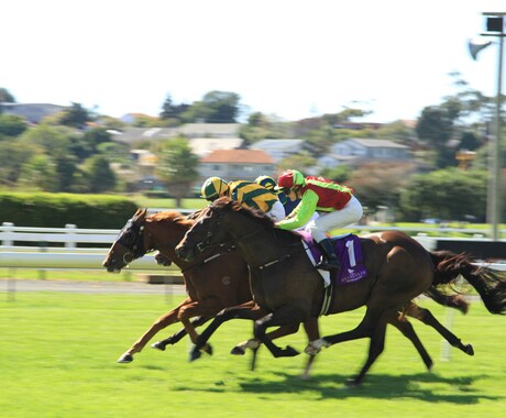 競馬重賞予想配信します 条件あえば12レースも配信します イメージ1