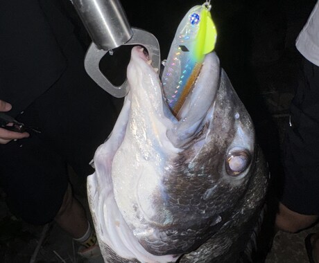 釣りを始めたい方に0から丁寧にアドバイスします 釣りで必要な道具の購入や釣り方を0から丁寧にサポート! イメージ1