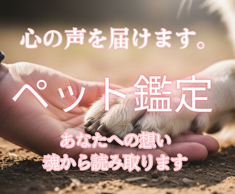 わんちゃん、ねこちゃんの本当の声をお届けします ペットちゃんの魂を読み解き普段聞けない声をお届けします。 イメージ1