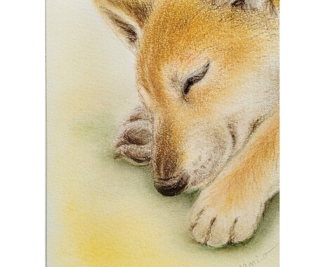 ほっこり暖かいうちの子似顔絵　パステルで描きます 写真には残らない、そのコらしさを一枚の絵に イメージ2