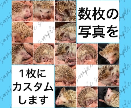 複数の写真を１枚にまとめてレイアウトします 日常／商品紹介／告知／推し活など用途に合わせ幅広く対応します イメージ1