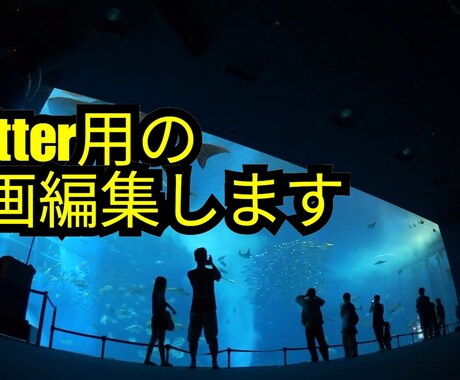 あなたの代わりにTwitter用の動画作成します あなたの素材をTwitter用に編集します イメージ2