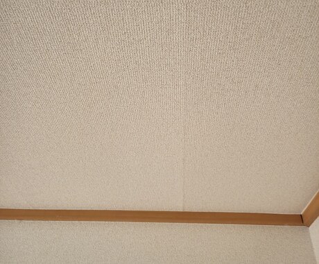 新生活応援！！賃貸物件の状態を簡単にチェックします トラブルを避けたいあなたに！！建築施工のプロが診断します イメージ2