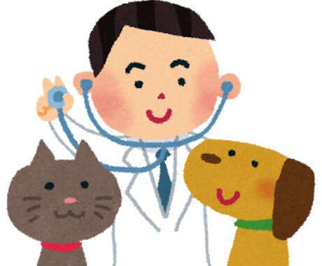 現役獣医師が獣医師を目指す方の進路相談に乗ります 獣医学部を目指す方、獣医学部生で進路に迷っている方へ イメージ1