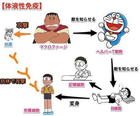 看護師目指してる方！頭に入りやすい勉強法教えます 脱力系！解剖生理学！楽しくわかりやすく解説します イメージ1