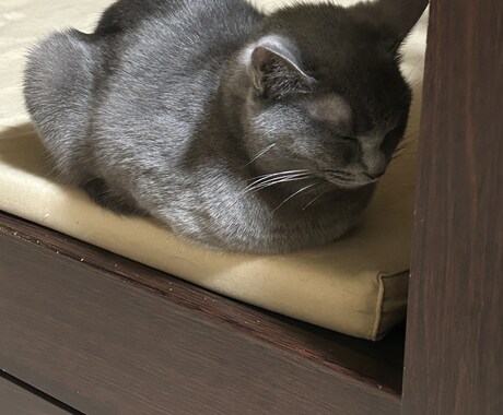 仕事、家庭、恋愛、対人関係何でも愚痴聞きます 愚痴聞きますよ( ᴖ ·̫ ᴖ ) イメージ2