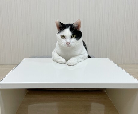 お悩みのご相談をお聞きします 悩んでいる、どうしよう、一緒に考えます。 イメージ2