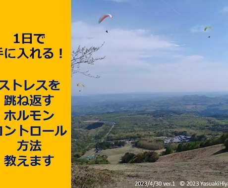 ストレスをホルモンでコントロールする方法教えます 受験生・新入社員・会社員でストレスによって粉々なあなたに！ イメージ1