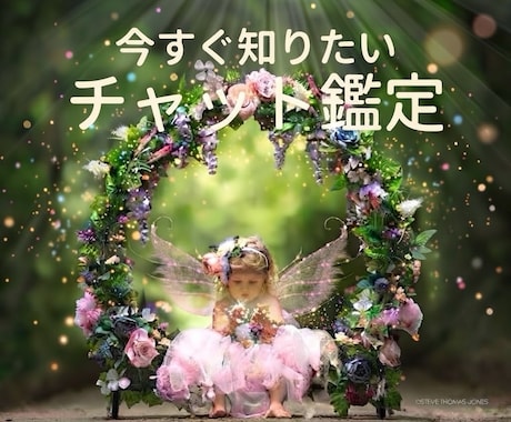 チャット鑑定10分✨✨✨霊視透視します 恋愛✨仕事✨家庭✨人間関係✨動物✨YES NOなど視ます⭐️ イメージ1