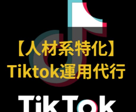 人材系特化！Tiktok運用代行をやります Tiktokでしか獲得できないリードへつなげます イメージ1