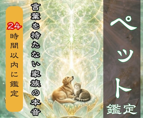 魂のカルテでペットの心を霊視し契約を読み解きます 「なぜ私のもとへ？」琉球の拝みで愛する子とのご縁を明かします イメージ1