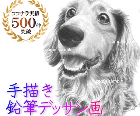 ハイクオリティなペット似顔絵を、鉛筆で手描きします ♪精密描写＊記念プレゼント＊インテリアアート＊アイコンなどに イメージ1