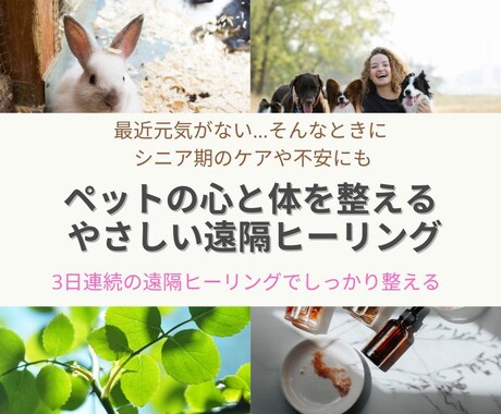 ペットの心と体にやさしいヒーリングします ★不調が気になるときに。シニア期のケアに。 イメージ1