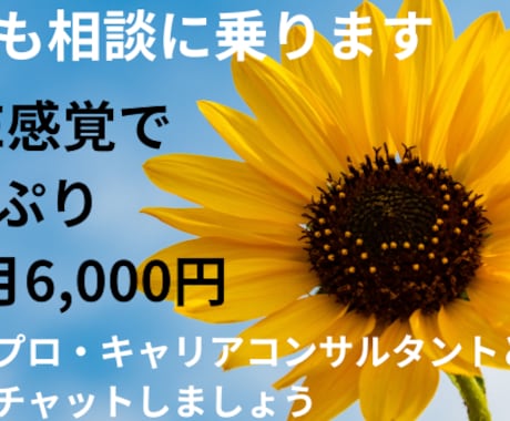 プロ資格あり：LINE感覚で毎日チャットします 仕事、家族の悩み、雑談もOK✨あなたのペースでチャットします イメージ1