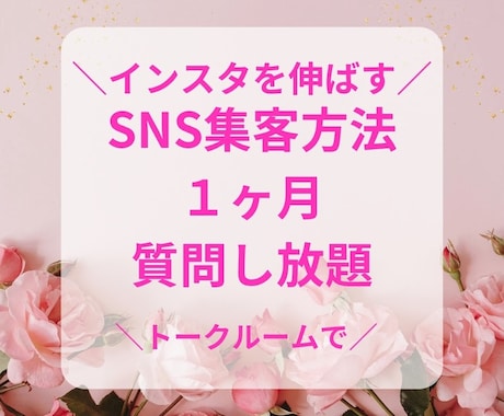 インスタを軸にSNS集客の相談に答えます インスタほかSNS・note・公式サイト・公式LINE利用術 イメージ1