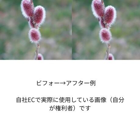 商品画像の切り抜き＆影付けます EC画像、1枚から即対応します イメージ2