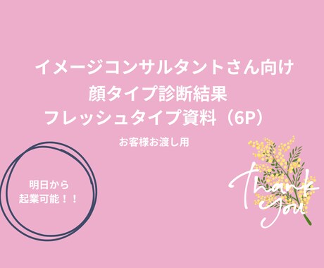 お客様お渡し用、顔タイプ資料お渡しします 診断実績1,000人超のプロが作成！顔タイプ別資料 イメージ1