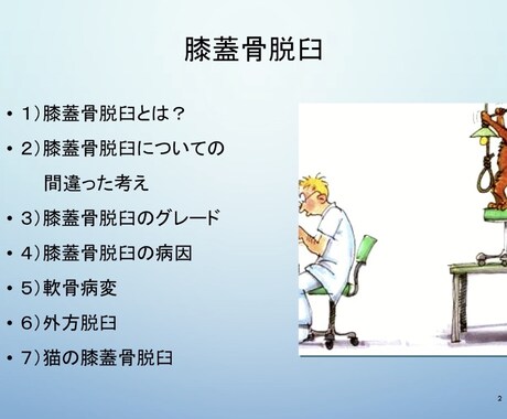 10分で分かる！膝蓋骨脱臼！パテラの全てお話します 年間の整形症例数300頭以上の動物病院に勤務！パテラのお話！ イメージ2