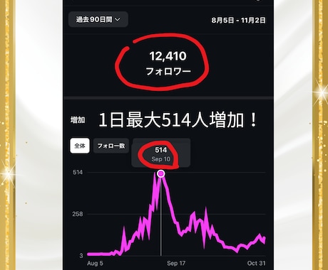 Instagramフォロワーを増やす極意教えます 半年でフォロワー1万人！成功実績から学ぶフォロワーの増やし方 イメージ2