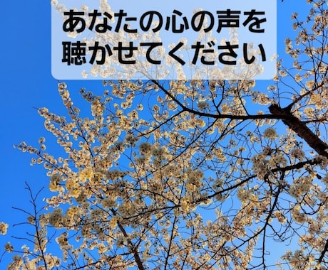秘密厳守 社会福祉士があなたの話に寄り添います あなたの心が晴れるようにお話を伺います イメージ1