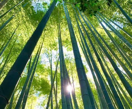 あなたの体験や考えお聴き致します あなたの悩み、体験や考えをお聞かせ下さい！ イメージ1