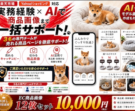 AI活用！売れるECショップの商品画像を作ります 楽天・YAHOO!向け売れる商品画像12枚を丸ごと制作します イメージ2