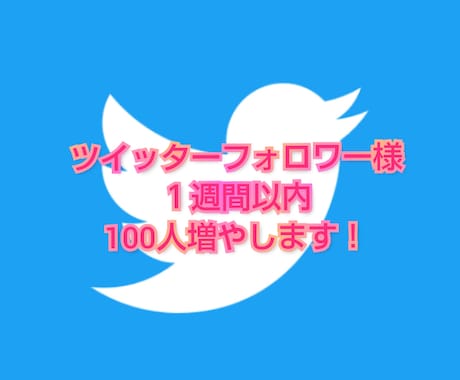 ツイッターのフォロワー様１００人増やしますます ☆実績０から２ヶ月で１万人達成☆フォロワー様を大切にします イメージ1