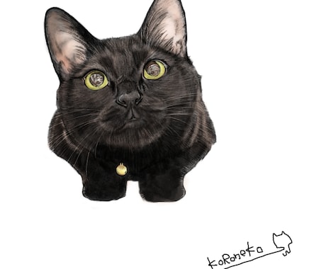 黒猫さんのイラスト描きます リアル画像でシンプルにかっこよく イメージ2
